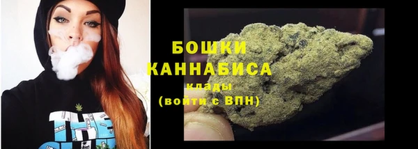 PSILOCYBIN Абаза