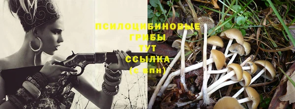герыч Алзамай